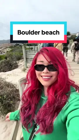 🐧 A day by Boulder beach with the Penguins in Cape Town, South Africa 🇿🇦  #travel #travelreels #beach #capetown #southafrica 
