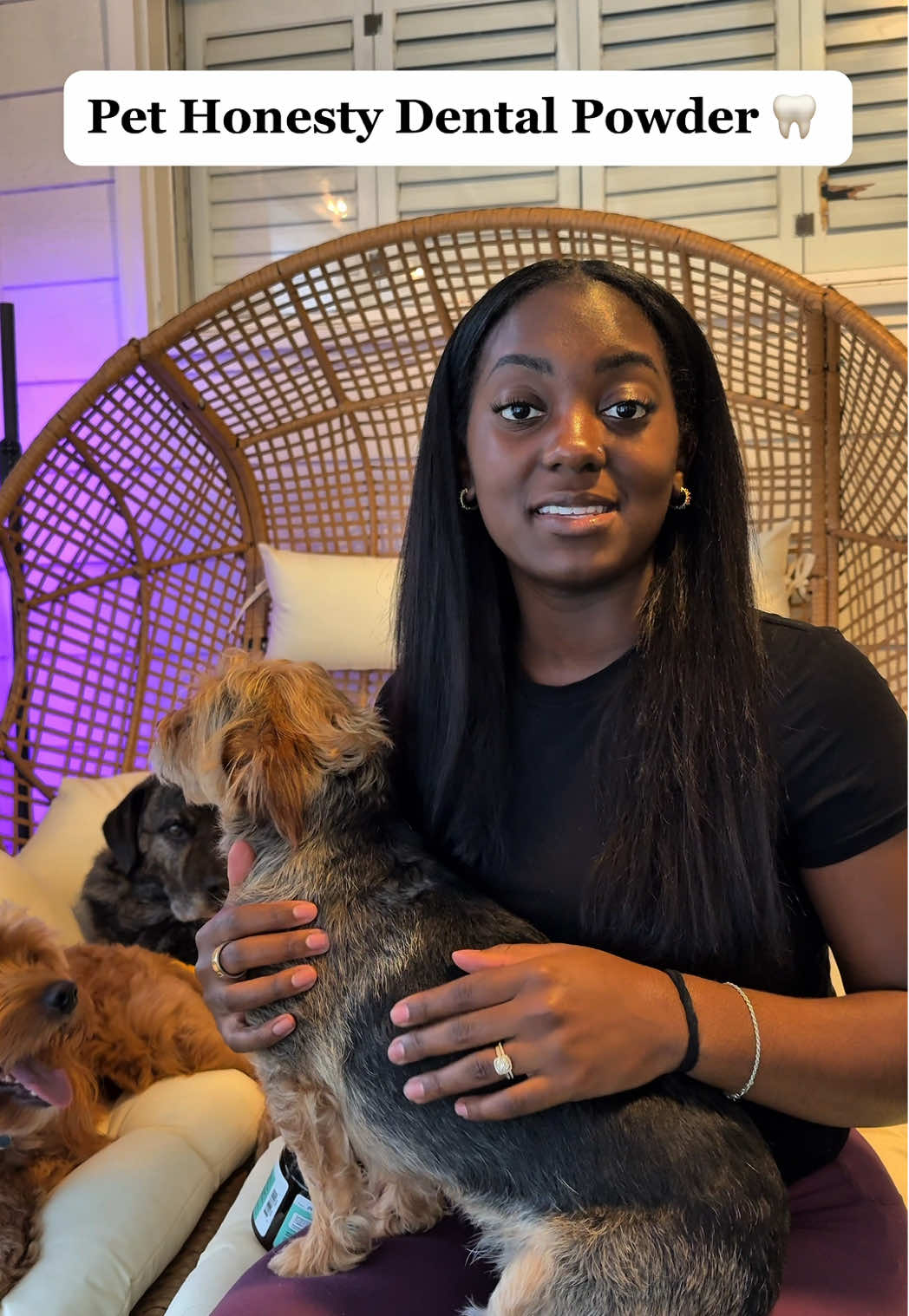 Three dogs = triple the love (and triple the dog breath ). @Pet Honesty Dental Powder has made keeping their teeth clean and breath fresh so easy — just sprinkle, serve, and done. #pethonesty #pethonestypartner #petsupplements