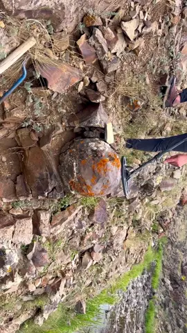 I found dozens of gold coins under the rocks