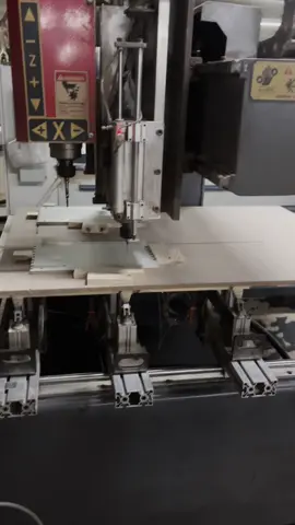 Làm mướn nghe nhạc r tưởng tượng #QuangLâm2 #xuhuong #2004 