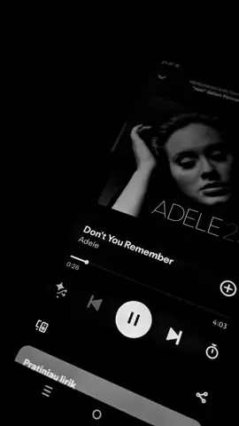 #remember #dontyouremember #adele #galaubrutal #liriklagu #lyrics #sadvibes #spotify 