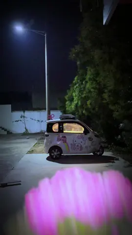 Ok，The person who brushed this video of mine should be going to bed soon, right? #tricycle #minicar #electriccar #campinglife #limousine #Outdoors #relax #night #fyp 