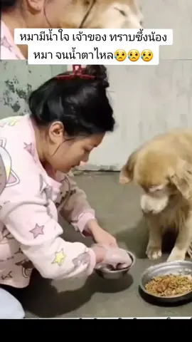 #น้องมากับเจ้าของ รักกันลึกซึ้ง#น้องหมา และเจ้าของ #🥰🥰