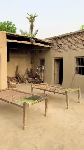 یہ زندگی کے میلے دنیا میں کم نہ ہوں گے افسوس ہم نہ ہوں گے #savillage1 