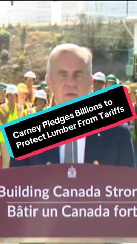 Prime Minister Mark Carney has promised a $1.2 billion support package for the Canadian lumber industry as tariffs continue without a new trade deal with the Trump administration. #lumber #markcarney #cdnpoli #tariffs #donaldtrump #tradewar #news 