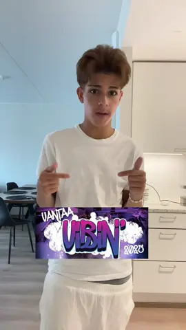 *Mainos/liput saatu @Vantaa Vibin’ 💜 #suomitiktok #festarit #auta #asukriisi #mitäpuen #sinullesivu 