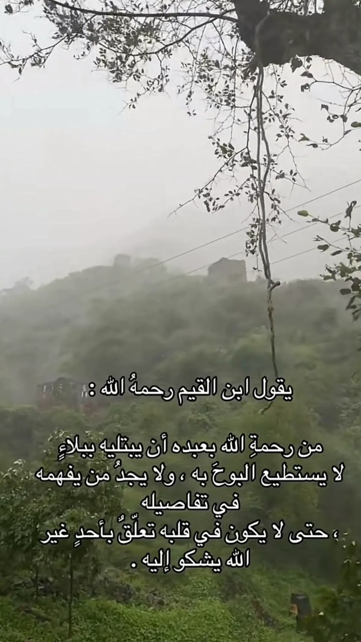 لا اله الا الله 🤍#اجر_لي_ولكم_ولوالدينا_وللمسلمين 