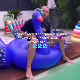 птица счастья🦚💜 #рекомендации #мистермакс #furyou #tiktok #fup #puf #on #of 