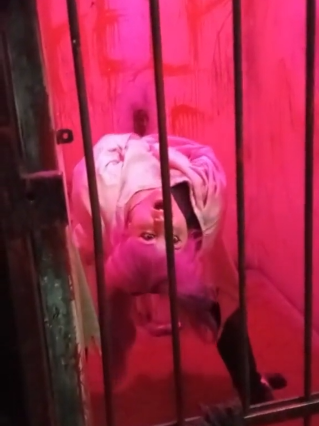 #Tbt da visita que eu fiz no @Abadomsp  em 2021. A primeira camisa de força a gente não esquece! #abadomsp #abadom #loucura #arlequina #loucos #hospicio