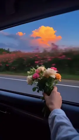 #Dadka Dulqaad ka badan ma tahay.?💕🌷😍💖💐#100kfollowers🔥 #JULEYBIIP #copylinkplease💗guys 