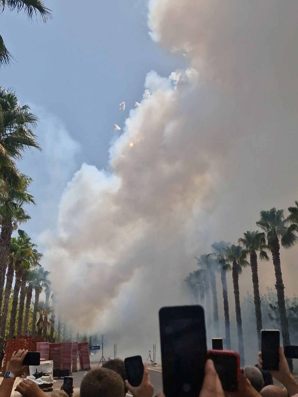 Mascletá Aldaya #mascleta #aldaya #aldaia 