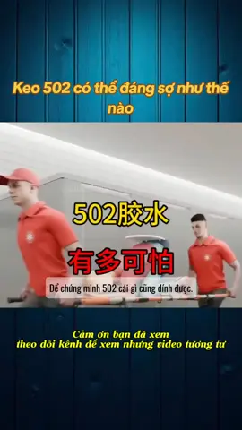 Keo 502 có thể đáng sợ như thế nào#kienthucthuvi #khampha #1phutkienthuc 