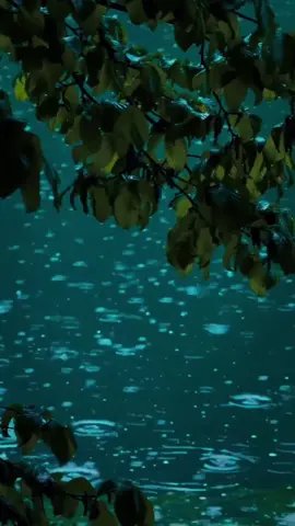 Who cares?  #lyrics #undertheinfluence #chrisbrown #lyricsvideo 