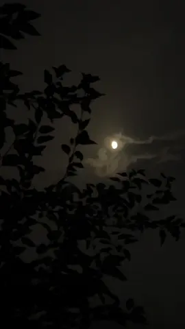 اُسے چاہنے کی چاہ۔۔؟ نہیں ۔۔اب نہیں۔۔!💔🍂🥀#siraj_l3ukhari #fypツviral #aestheticvideos #chand #sadvibes #poetry #caption #saiyaara #nightvibes #dhun 