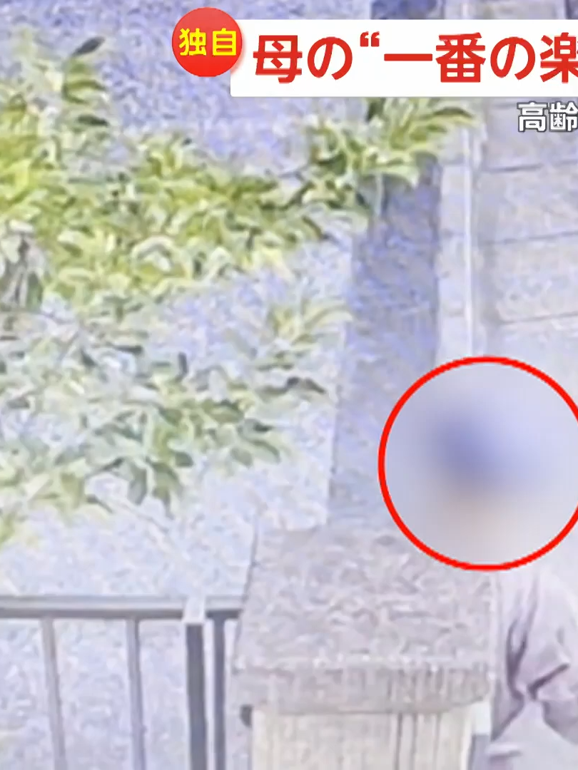 買い物帰りの盗みか…木になったリンゴを次々に取り自転車のカゴへ入れる高齢の男　70代の母親の“一番の楽しみ”奪われる　東京・足立区_002