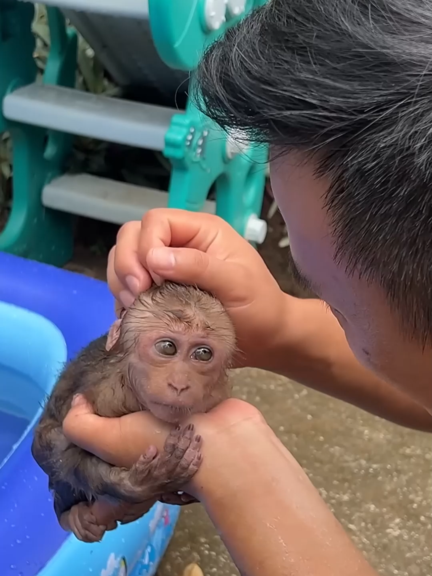 Monkey Bon: “She won’t find out… right?” – Operation Swim With Duckling begins! 🐒🤫🦆