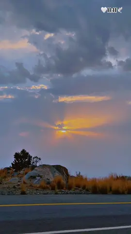 عل ما باس ياللي تشتكي حب غالي .. 🥹🕊️🕊️ #🌹🌹🌹🌹🌹🌹🌹🌹🌹🌹🌹🌹 #الحب #حبيبي #احبكم  #المشكى_على_الله #خالد_عبدالرحمن #خالديات #capcut #خالد_عبدالرحمن_اعاني_حاولت_اجيبك #تصميم #تصاميم #تصميم_فيديوهات🎶🎤🎬 #من_اصدق_ما_قيل #من_اصدق_ماقرات #اكسبلور_explore #شيبت_روحي #ترند_تيك_توك #اطلبي_يانفس_دام_الله_كريم #اكسسسسسبلورررررررررر🌹 #foryou #viraltiktok #😭😭😭😭😭😭💔💔💔💔 #fyp #foryourpage #viraltiktok #fypシ゚viral #duet #fyppppppppppppppppppppppp #بدون_هشتاق #بدون_توقيع #hope #foryourpage #roblox #fypシ #حتى_البحر_لستضاق_تفضفض_أمواجه #لحظات_تبقى_في_الذاكرة #تكفون #المملكه_العربيه_السعوديه #المانيا #المغرب #المغرب🇲🇦تونس🇹🇳الجزائر🇩🇿 #الشعب_الصيني_ماله_حل😂😂 #الموصل #المدينه_المنوره #ترند #مشاهير_تيك_توك 