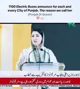 Her vision of developed Punjab is becoming a reality ❤️‍🔥