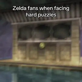 Gets our brains fried up sometimes #zelda #legendofzelda #link #zeldabotw #oot #fyp 