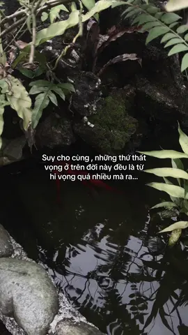 …#tamtrang #story 