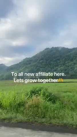 #toallaffiliatelikeme 