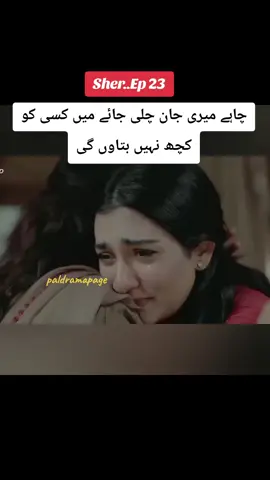 #pakdramapage #sher #arydigital #whattowatch #fyp 