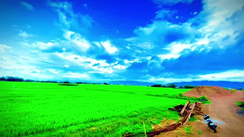 #CapCut Xây đắp quê hương #77binhdinh #xuhuong #XCMG #xecauvietnam #xecau #xh 