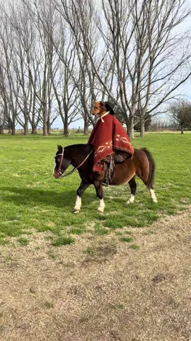 Vinimos a visitar a Ponono 😀