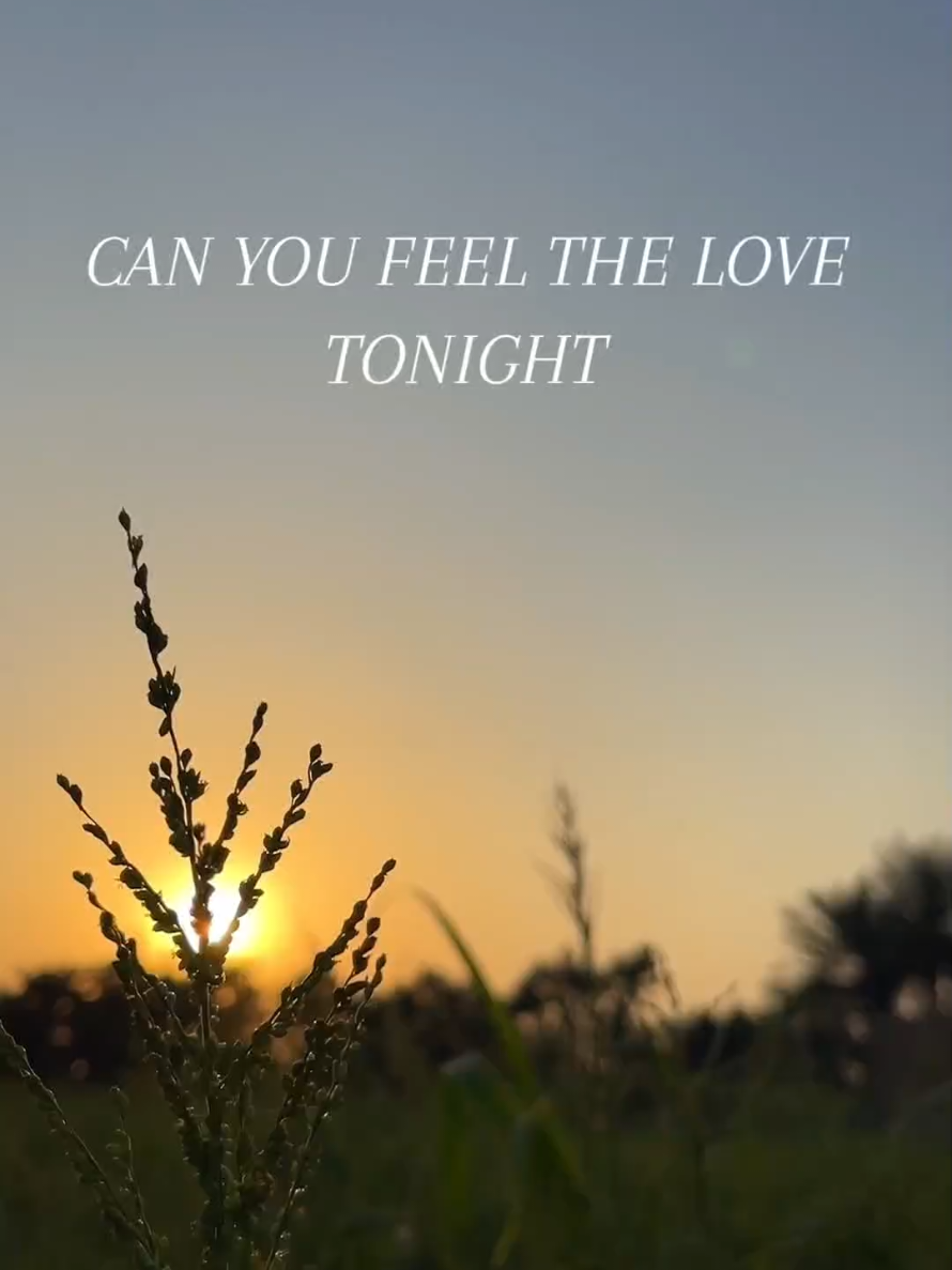 Can You Feel the Love Tonight | Song by Elton John ‧ 1994 #lyrics #lyricsvideo #lyrics_songs #foryou #foryoupage #foryoupageofficiall #foryourpage #fypage #fyp #fypシ゚ #fypシ゚viral #fyppppppppppppppppppppppp #viral #viralvideo #viraltiktok #tiktok #tiktokviral #tiktokvideo #trending #trendingsong #trendingtiktok 