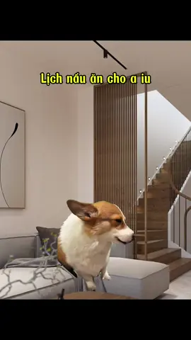 hehe phải vậy nha#meme 