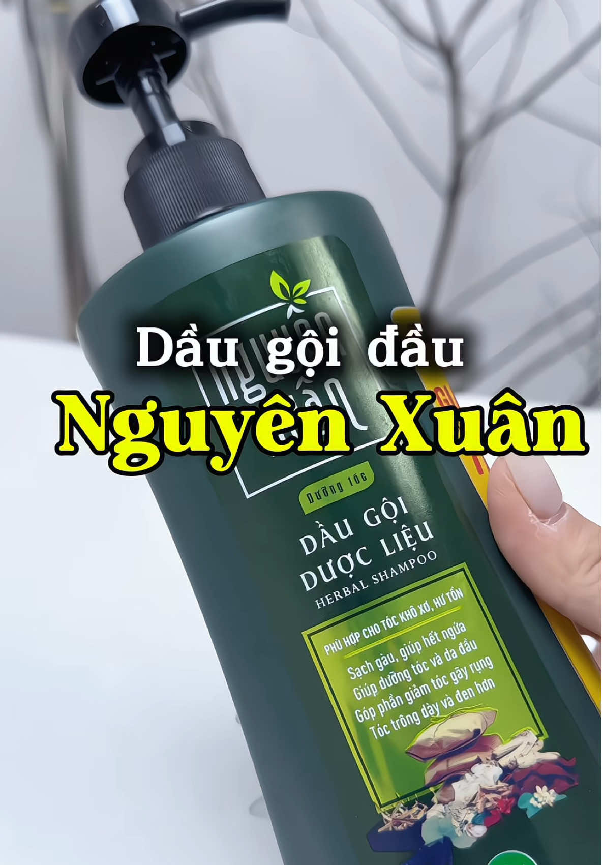 Bí quyết mấy spa gội đầu dương sinh không muốn cho khách biết ở đây chứ đâu#daugoidau #nguyenxuan #daugoidaunguyenxuan #daugoidauthaoduoc #goidauduongsinh #hannariviu #xuhuong #xuhuongtiktok 