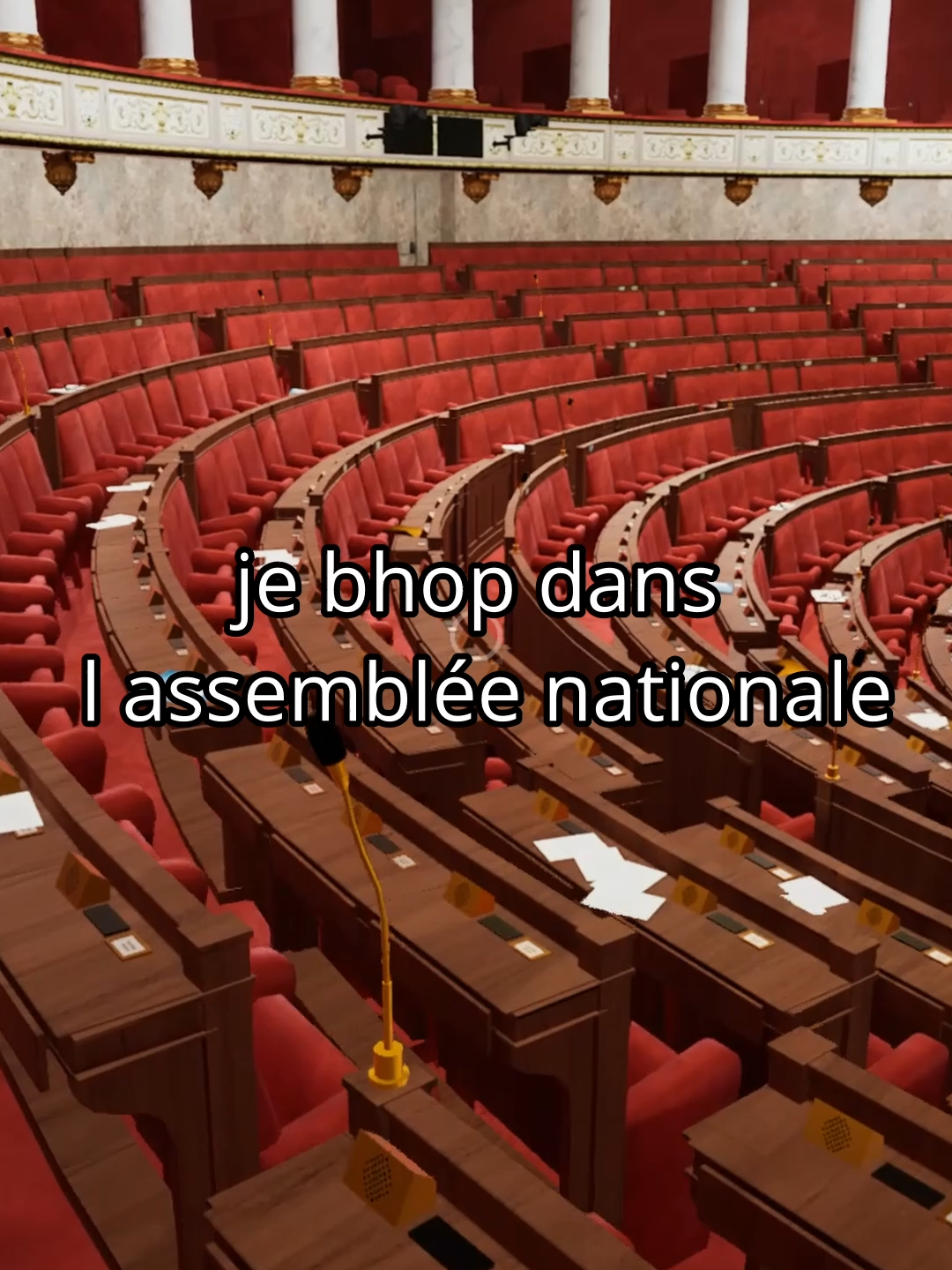 je bop dans l assemblee nationale #assembleenationale #bhop