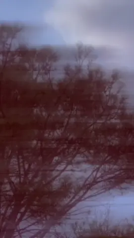 @Faseeha Gull @@faseehagull96 @👉🇻🇳 CHOTA سرکار 5²2 🇻🇳👈 @🇧🇹𝓑όϴᎦ ᴍᴀғɪᴀ³0³🇧🇹 #foryoupage #sahilkhan522 #CapCut ... 