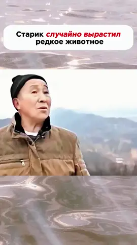 Старик случайно вырастил редкое животное#животное #помощь #история #природа 