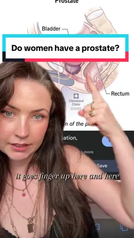 Replying to @user9051287616860 do women have a prostate? Well maybe yes, the technical term is up for debate. The female prostate aka the skenes glands  #womenshealth #menshealth #reproduction #educational 