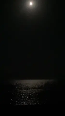 💝💝