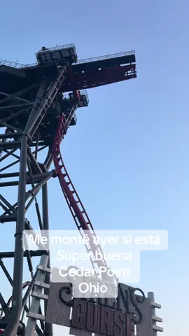 #LIVEIncentiveProgram #LIVECanBeEasy #PaidPartnership 