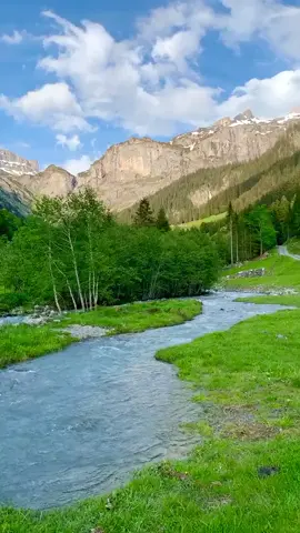 #ماشاءالله #تبارك_الله  #هولندا  #جمال #اليوم #الهدوء  #الريف #الطبيعة #الخلابة  #الجبال #النهر #الحيوانات  #التخييم #الاشجار #الماء #الخضراء  #المراعي #البقر #الماعز #الطيور  @محمد البيضاوي @00:00 @ابو مرداع  @🌺Bella muralist mangyue ⛎  @مصطفى ماضي / mostafa madae 