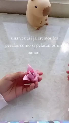 parte 1 de un lindo ramo de tulipanes♡♡♡