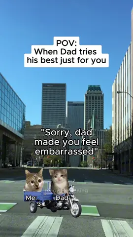 CAT MEMES when Dad tries his best just for you  #CatMemes #CatsOfTikTok #pov #realatable #shorts #FunnyCats