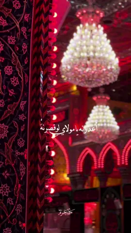 أعذرنهِ يامولاي لو قصرنهِ❤️‍🩹 #باسم_الكربلائي  #مشاية_الأربعين  #محرم  #كربلاء_المقدسة  #ميرزا🍂  #العتبة_الحسينية_المقدسة 