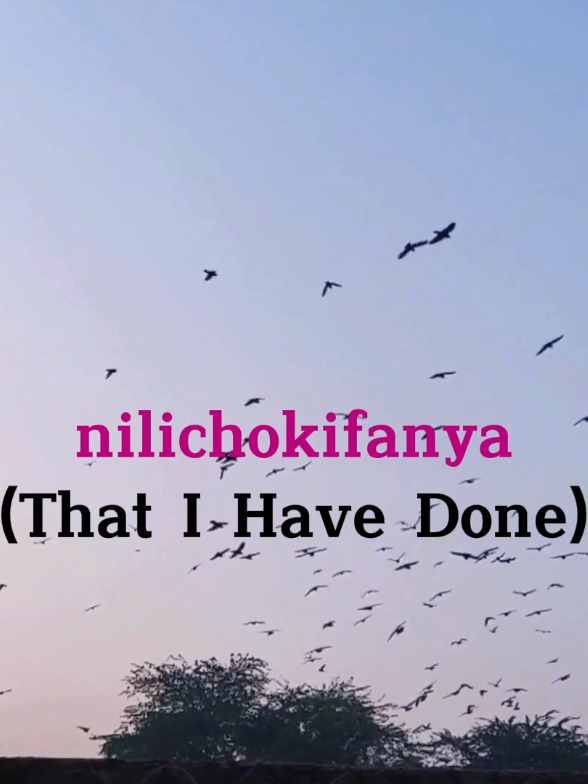 watch umenipendelea ENGLISH TRANSLATION now on YouTube sounds of Afrika💯🔥#fyppppppppppppppppppppppp 