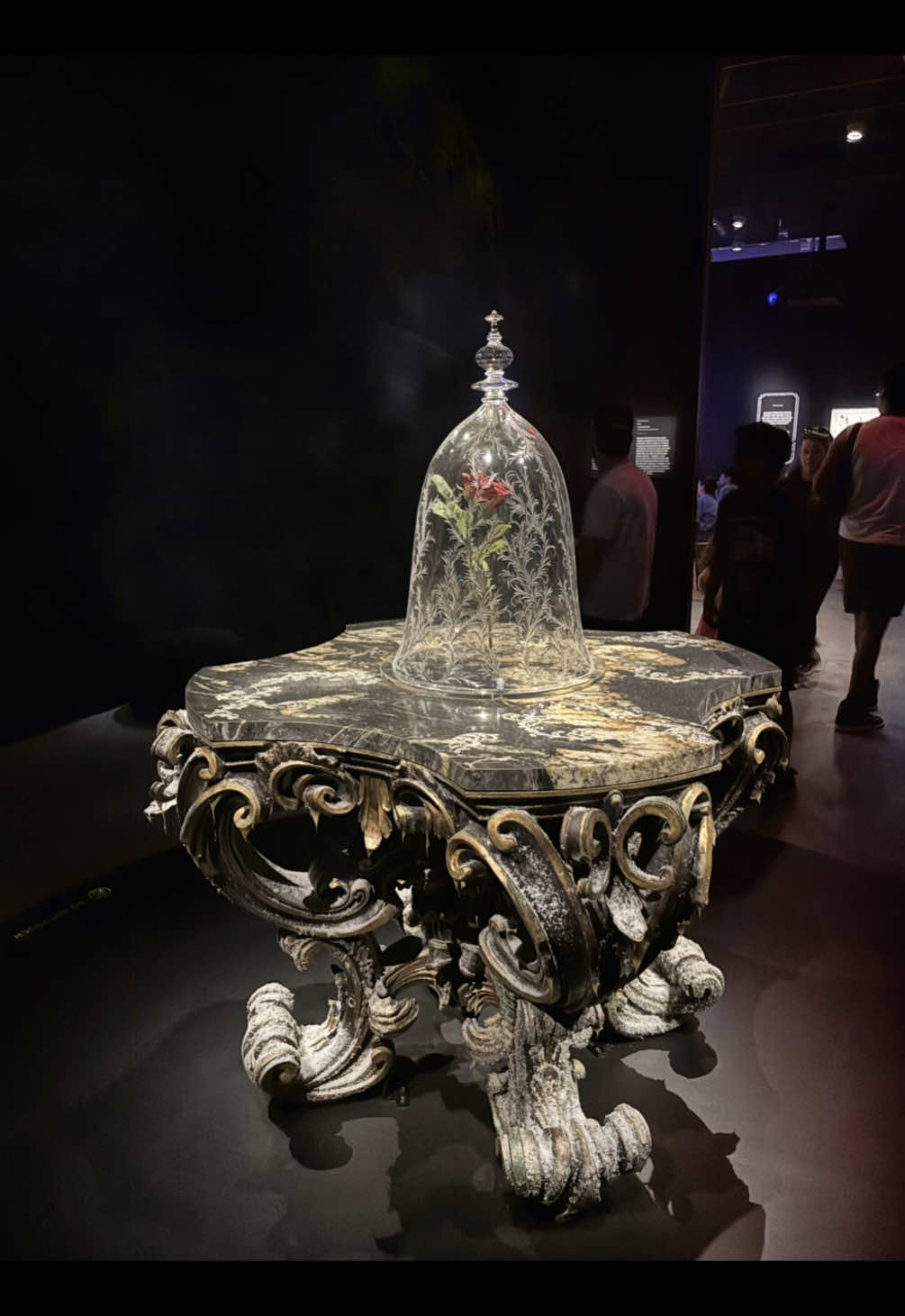 Seeing the beauty and the beast rose in real life🫢🥀✨ @Academy Museum @Disney Studios  #losangeles #academymuseumgala #academymuseum #beautyandthebeast #beastcastle #enchantedrose  #disneystudios 