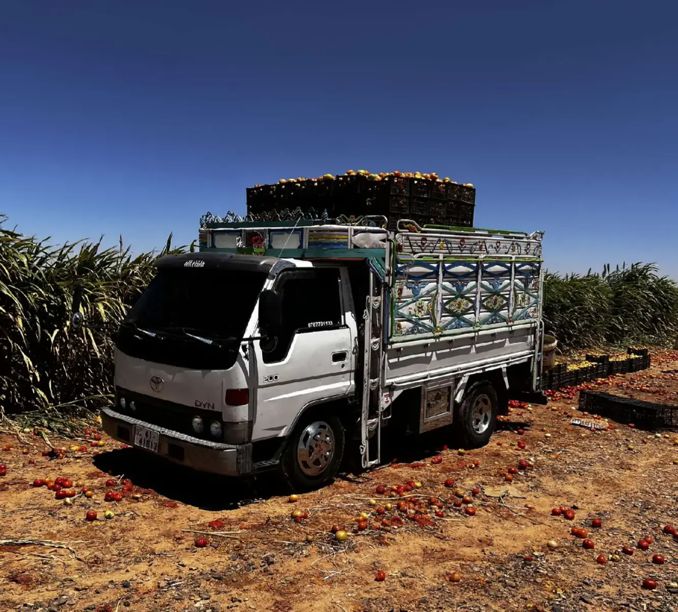 #اذكروا_الله #اكسبلورexplore 