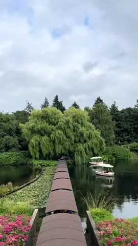 Such an underrated park!!..            #efteling #امستردام #amsterdam #netherlands #هولندا 