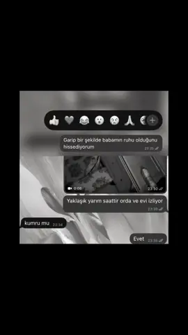 Canımın içi babam her zaman yanımda hissediyorum seni biliyorum hep yukardan bir yerlerden izliyorsun görüyorsun beni. Allah’ın cennetinden eksik olma🤲🏻😢💔 #mehmetyıldız #ilim  #babamm #canım #mehmetyıldız  #hayalhanem #islam #ilim #tevekkül 