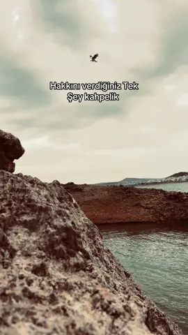 🦅#keşfet #mustafa_aksam #pazarcık #keşfett #storytime #kürtçeşarkılar #raconsözler 