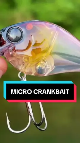 Micro Crankbait Fishing #bassfishing #fishing #lure #pondfishing #crankbait 