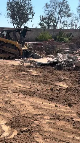 Time for new growth is right! 🌱 we are thinking of a beach entry pool for Tiptoe, with plenty of flowers and maybe a fountain or two. Bittersweet to see it go but it means we are headed in the right direction 