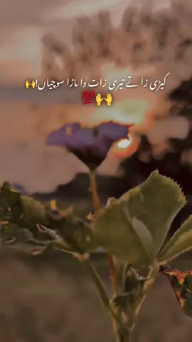 کمی لوگ کمی سوچ#🌹🔥❤️foryoupage #varilvarl #🥰 